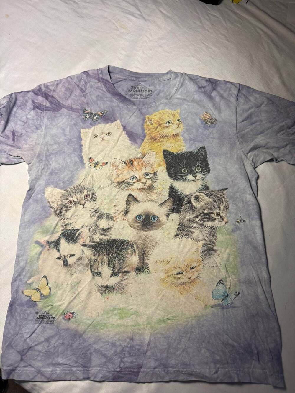 Curious Kittens Classic Cotton T-Shirt